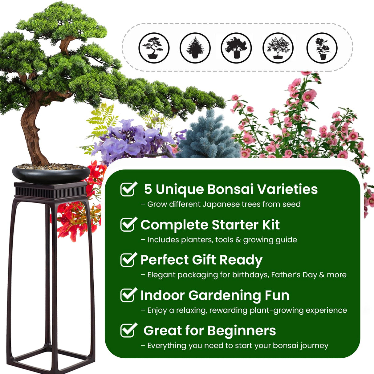 Bonsai Tree Kit – 5Pack Complete Indoor Starter Kit with 5 Unique Japanese Bonsai Trees, Tools & Planters – Perfect Gardening Gift for Women, Men, Plant Lovers – Great for Easter, Father’s Day PLANTMEW