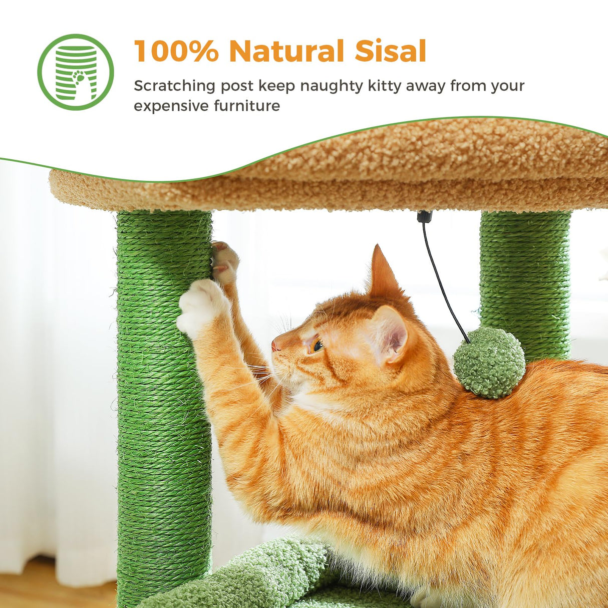 PEQULTI Cat Tree Cactus Cat Tower for Indoor Cats with Private Cozy Cat Condo, Natural Sisal Scratching Posts and Plush Pom-pom for Small Cats Green PEQULTI