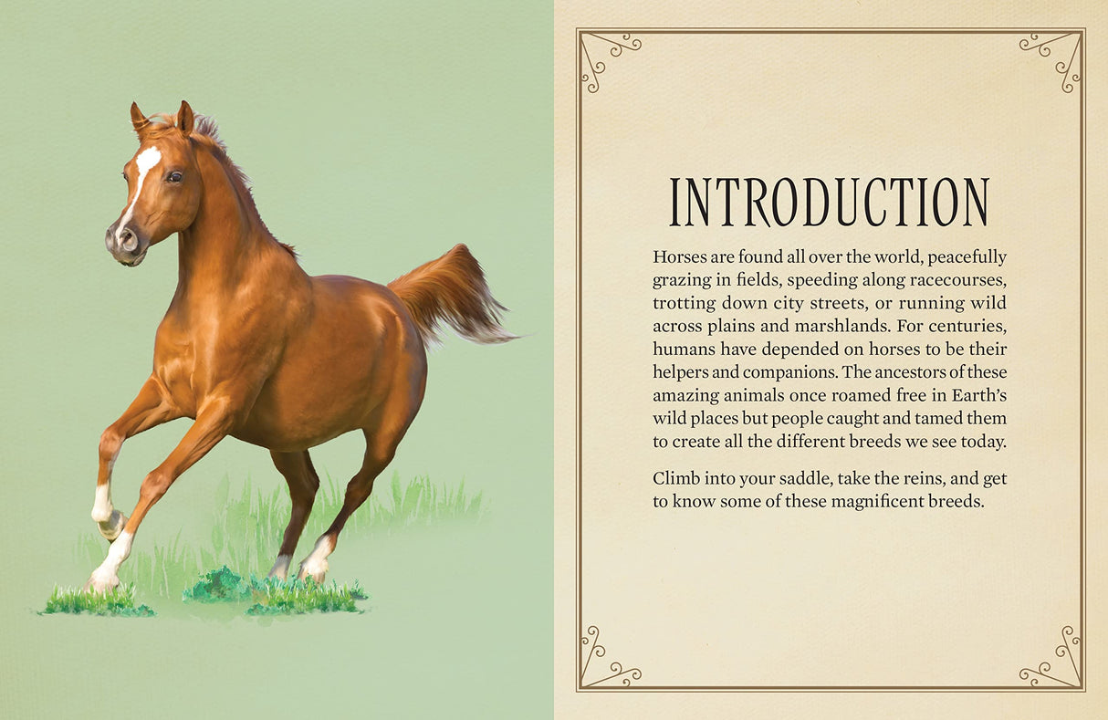 Horses Jigsaw Puzzle, 500 Pieces - Magnificent Horses, 20" x 14" - with 32 Page Pocket Field Guide - Great Gift for Horse Lovers Insight Editions