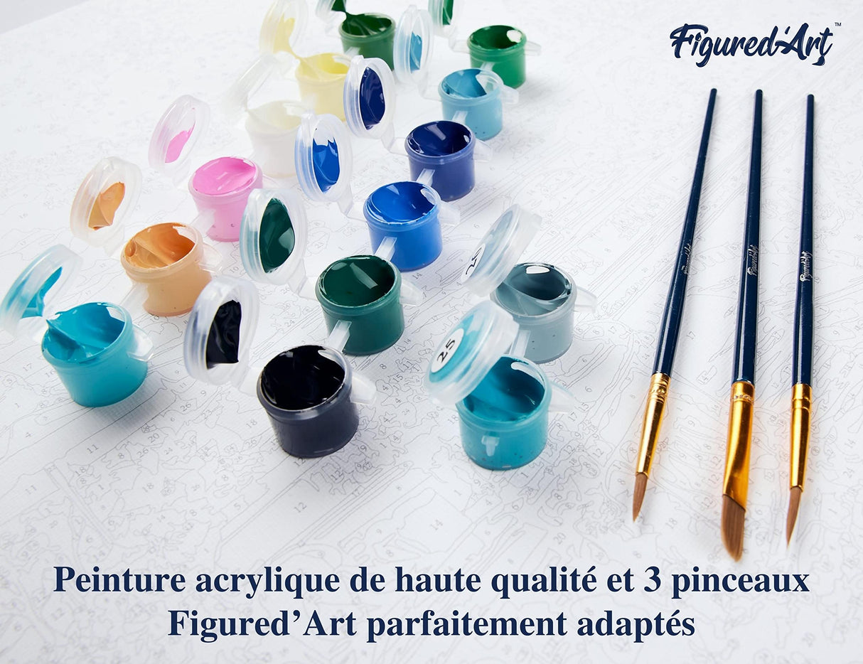 Figured'Art Paint by Numbers Kit for Adults with Frame Magical Red Dancer 16"x20" - Craft Art Painting DIY Kit Canvas Already Stretched on a Wooden Frame Figured'Art