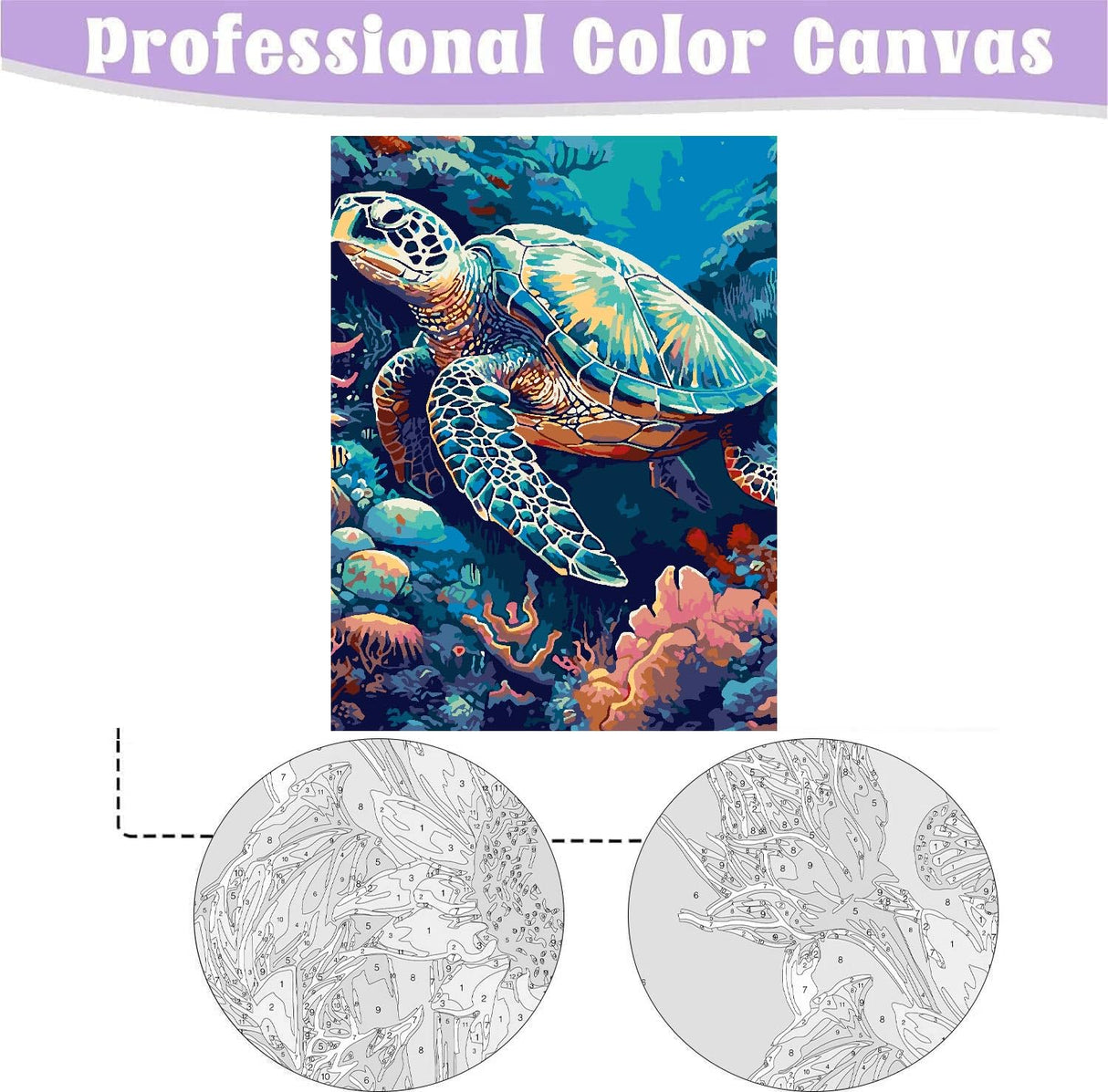 MIRCVSH Sea Turtle Paint by Numbers for Adults - Paint by Number with Frame,DIY Paint by Number with Wooden Frame Easy Acrylic on Canvas 12x16 in (Include Framed) MIRCVSH