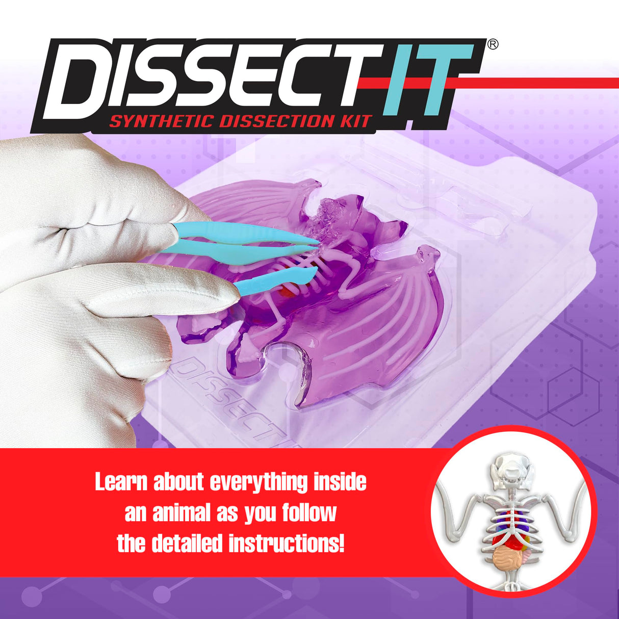 Dissect-It Simulated Synthetic Lab Dissection Toy, STEM Projects for Kids, Animal Science, Biology, and Anatomy Home Learning Kit, Bat Dissect It