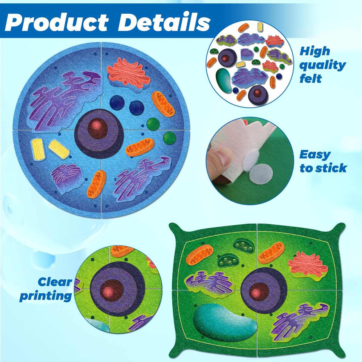 VercanMonth 2 Set Giant Felt Animal and Plant Cell Anatomy Model Kits Early Biology Cell Model Life Science Toys Animal Plant Bacteria Science Kit for Boys Girls Classroom Educational Learning VercanMonth