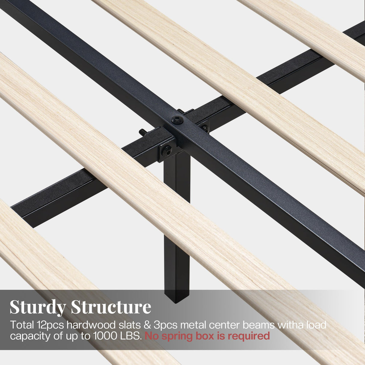 Jocisland Queen Size Upholstered Platform Bed Frame with Tall Wingback Headboard, Velvet Modern Luxury Design, No Box Spring Needed, Easy Assembly, Black Jocisland