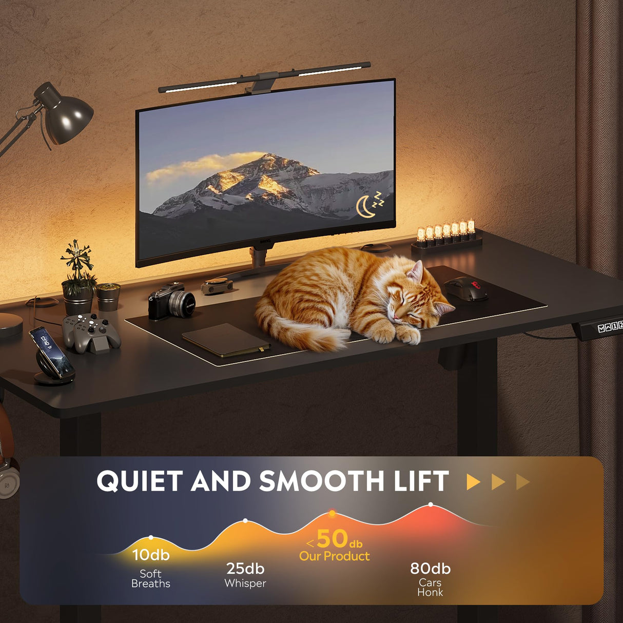 DEVAISE 48 X 24 Inches Electric Standing Desk,Height Adjustable Stand up Desk for Home Office, Ergonomic Sit to Stand Desk with Phone Holder,Black DEVAISE