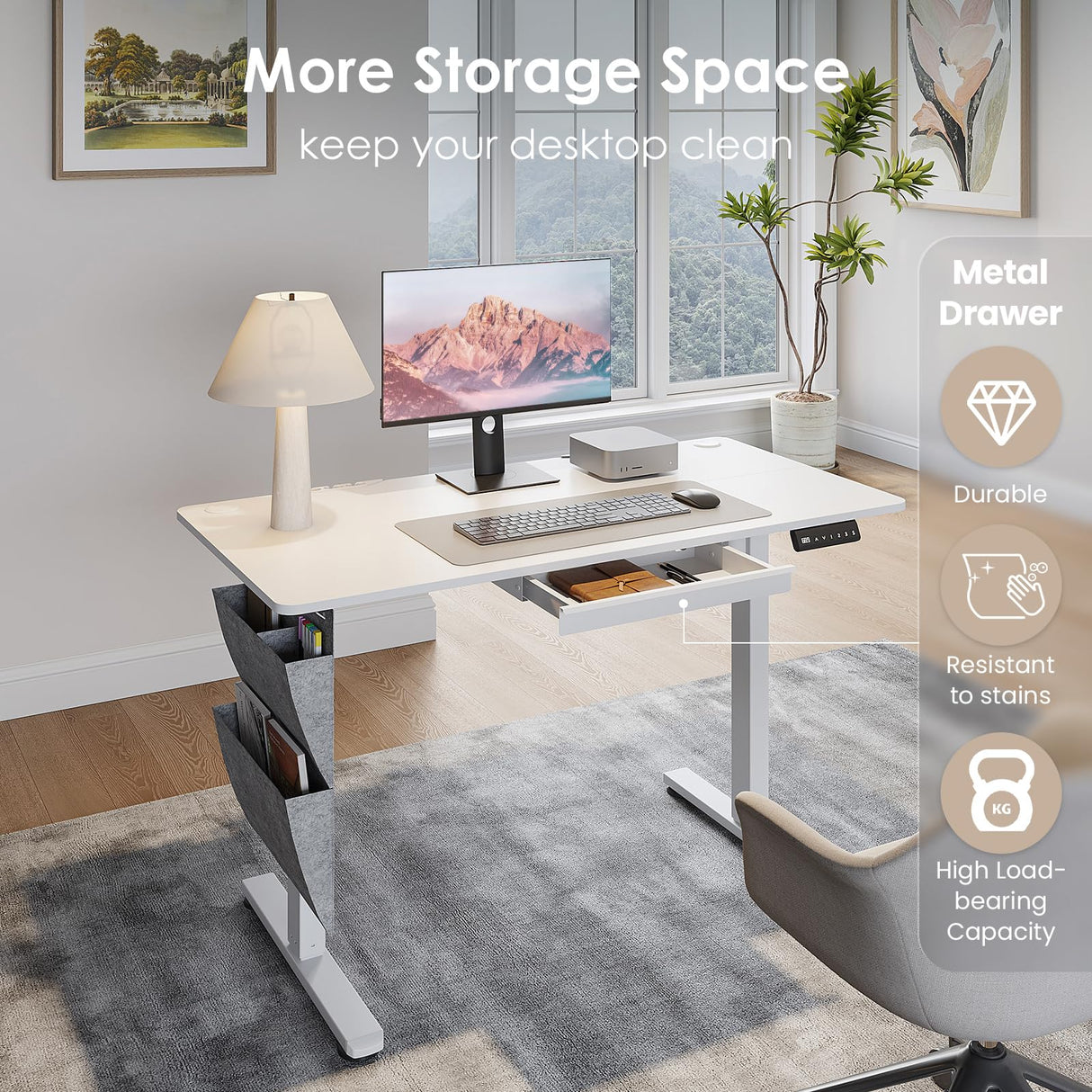 DSNAPE Electric Standing Desk with Drawers,48x24 Inch Electric Desk Adjustable Height with Side Storage,Sit Stand Desk for Home and Office,White DSNAPE