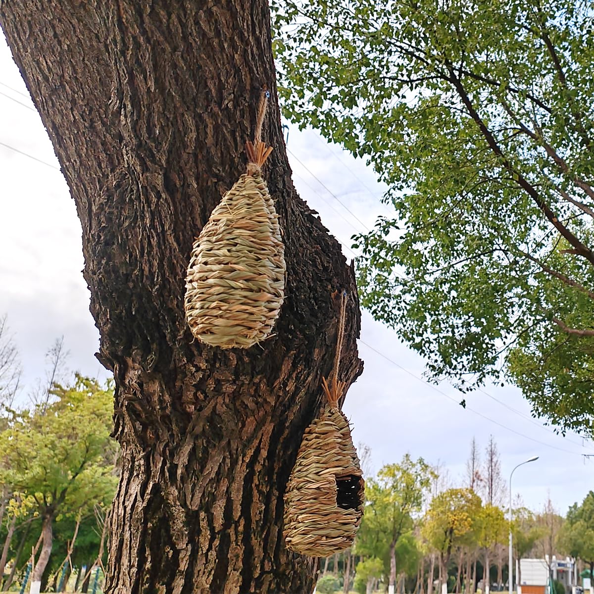 TIHOOD 4PCS 9.2 x 4 Inches Hand Woven Hummingbird House,Bird Hut and Hummingbird Houses Nest, Small Hanging Bird & Chickadee House for Finch & Canary in Outdoor TIHOOD