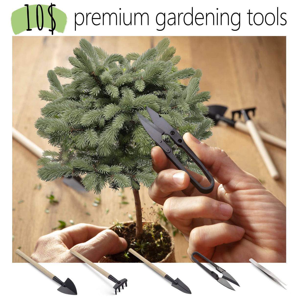 Bonsai Starter Kit – 2X Bonsai Tree | Complete Indoor Starter Kit for Growing Bonsai Plants with Tools & Planters – Gardening Gifts for Women & Men AVERGO