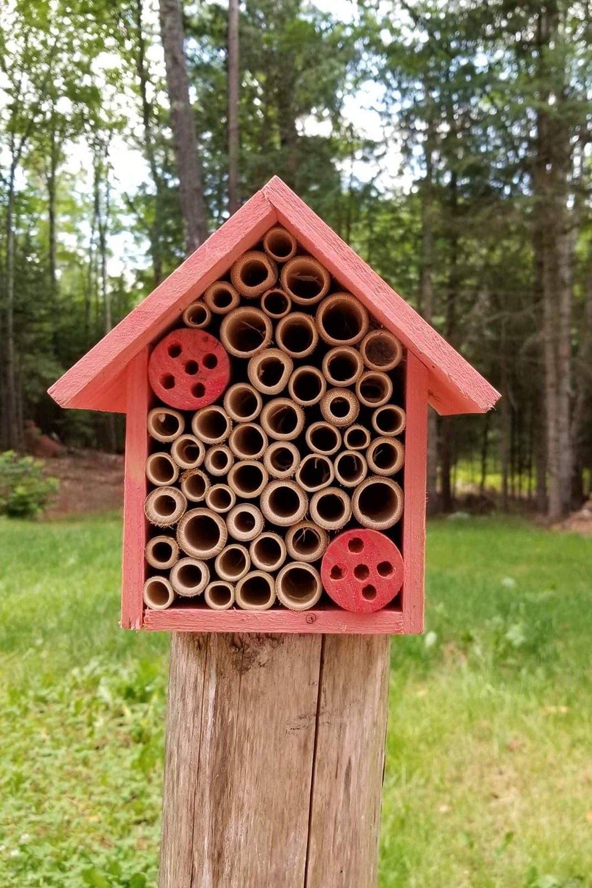 Cestari Mason Bee Housse for The Garden β Rose Pink Handmade Wooden Solitary Bee Hotel with Hanging Design for Pollinators β Eco-Friendly Nesting Shelter Cestari