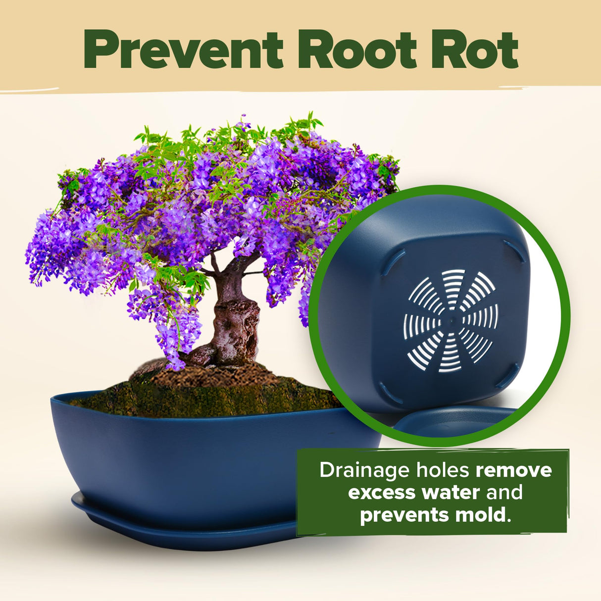 HOME GROWN Bonsai Tree Kit – 6 Heirloom Varieties with Unique Pots – DIY Bonsai Starter Kit for Adults & Beginners – Christmas Gift for Men Women Gardeners Plant Lovers – Indoor Growing Kit HOME GROWN