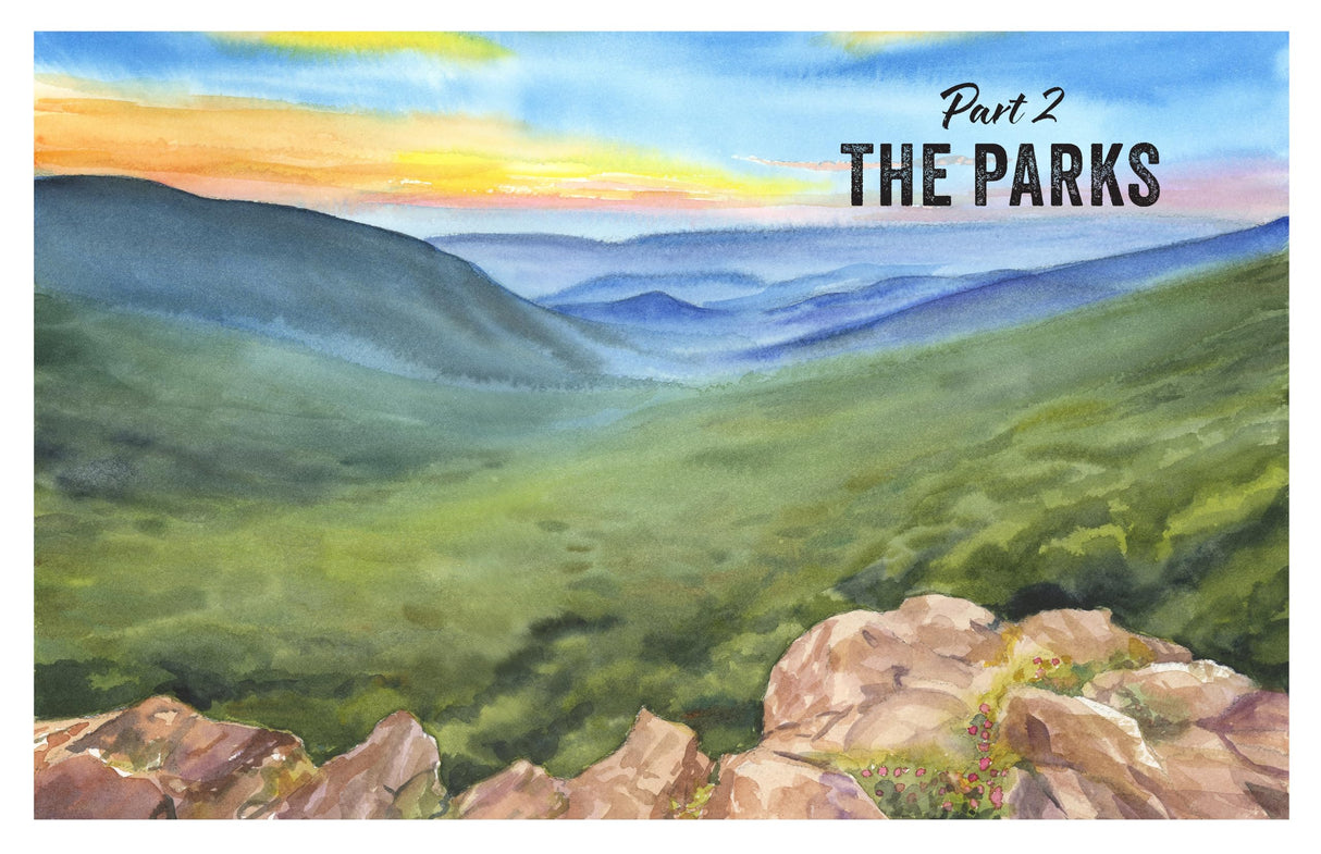 Paint the National Parks: A Watercolor Journey - Includes traceable templates and video tutorials WoodArtSupply