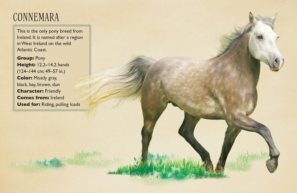 Horses Jigsaw Puzzle, 500 Pieces - Magnificent Horses, 20" x 14" - with 32 Page Pocket Field Guide - Great Gift for Horse Lovers Insight Editions