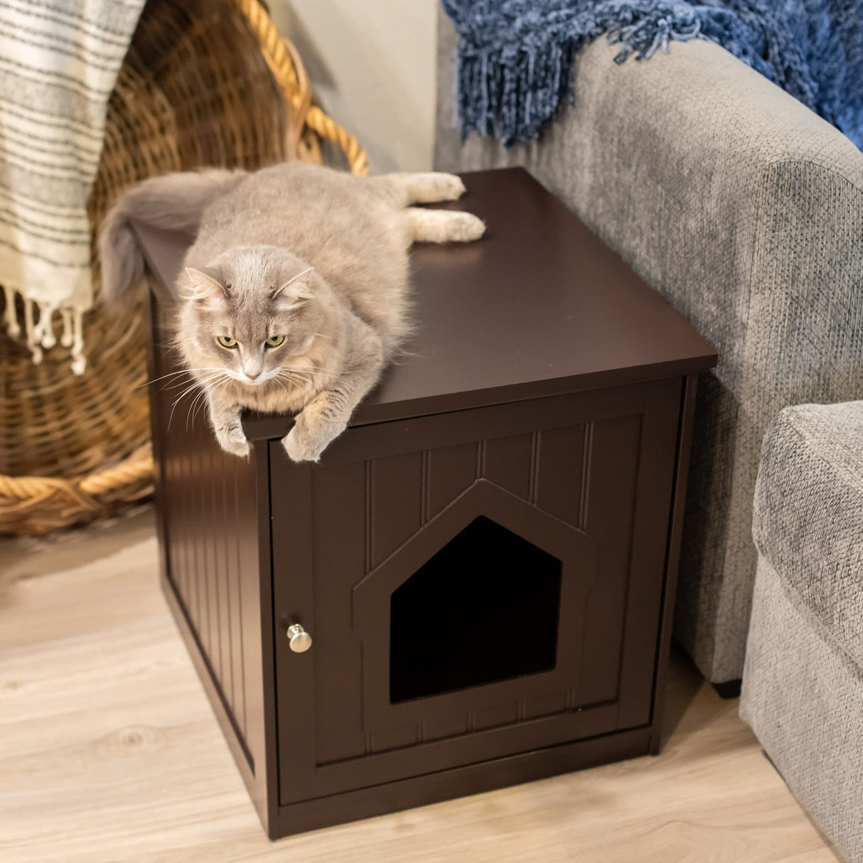 BirdRock Home Decorative Cat House & Side Table | Cat Home Covered Nightstand | Indoor Pet Crate | Litter Box Enclosure | Hooded Hidden Pet Box | Cats Furniture Cabinet | Kitty Washroom BIRDROCK HOME