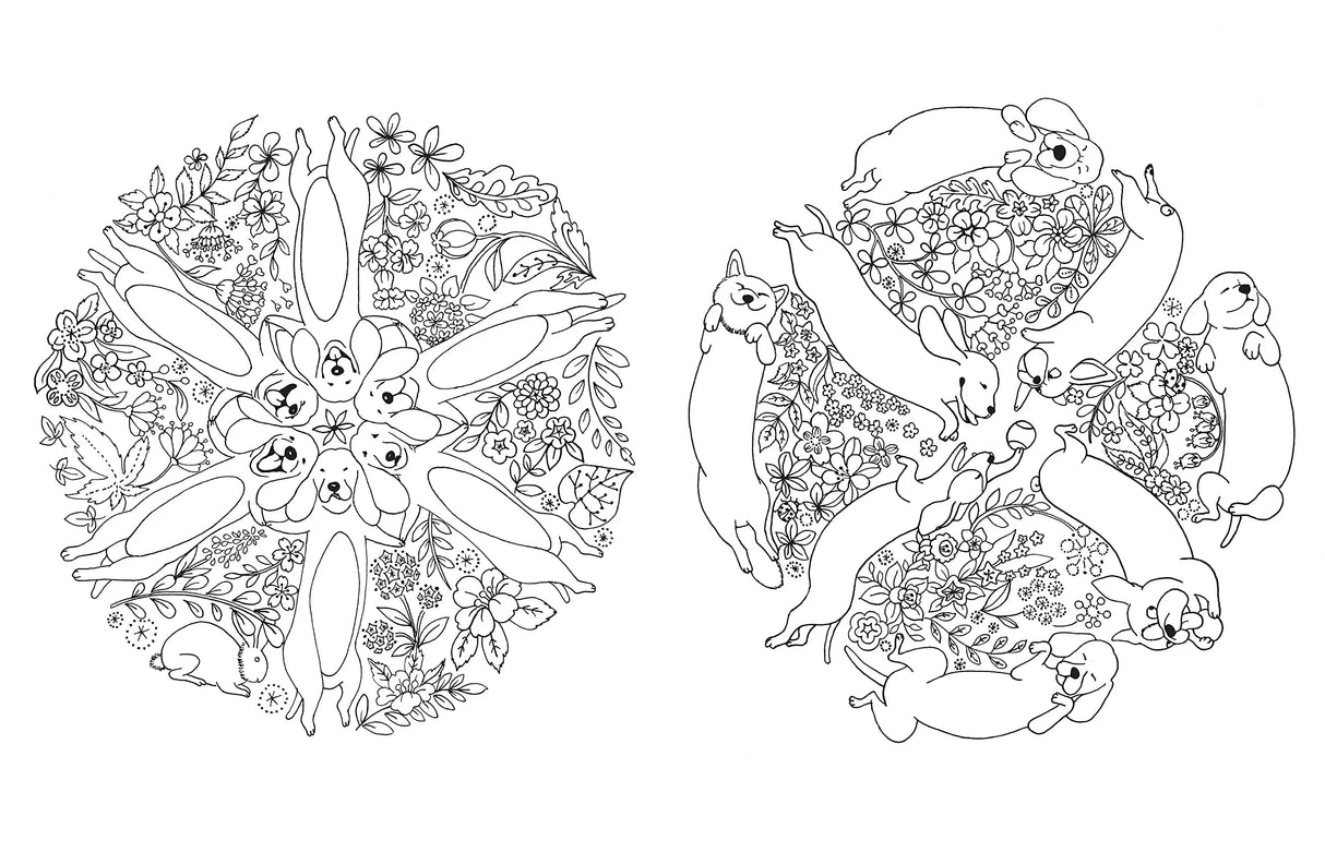 A Million Dogs: Fabulous Canines to Color (Volume 2) (A Million Creatures to Color) Union Square & Co.