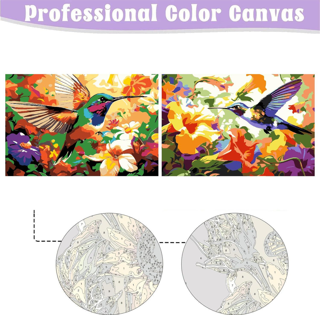 uuxsretaio 2 Pack Paint by Numbers Kits for Adults, Hummingbird Adults Paint by Number Kits with Framed, DIY Acrylic Easy Oil Painting Arts and Crafts for Home Wall Decor (8X12 Inch) uuxsretaio