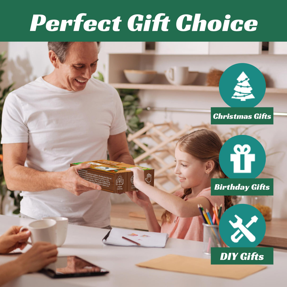 Modern Birdhouse Woodworking Kit, Build Your Own DIY Bird House Kit for Kids and Adults, DIY Woodcraft Building Projects with Paint Set Rioychan