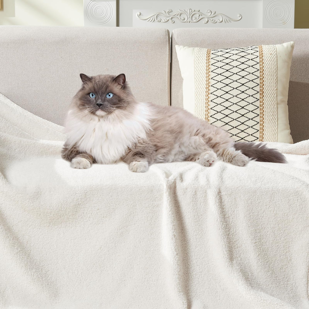 NEWCOSPLAY Knitted Ivory Blanket Super Soft Plush Throw for Couch Fuzzy Fluffy Microfiber Lightweight Blanket for Bed Sofa All Season Use (Ivory, Throw(50"x60")) NEWCOSPLAY