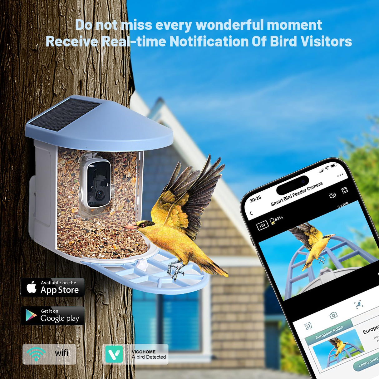 Smart Bird Feeder with Camera,Bird House Camera with AI Identify Bird Species,1080P HD Bird Watching Camera Auto Capture Bird Videos & Solar SMBDFOD