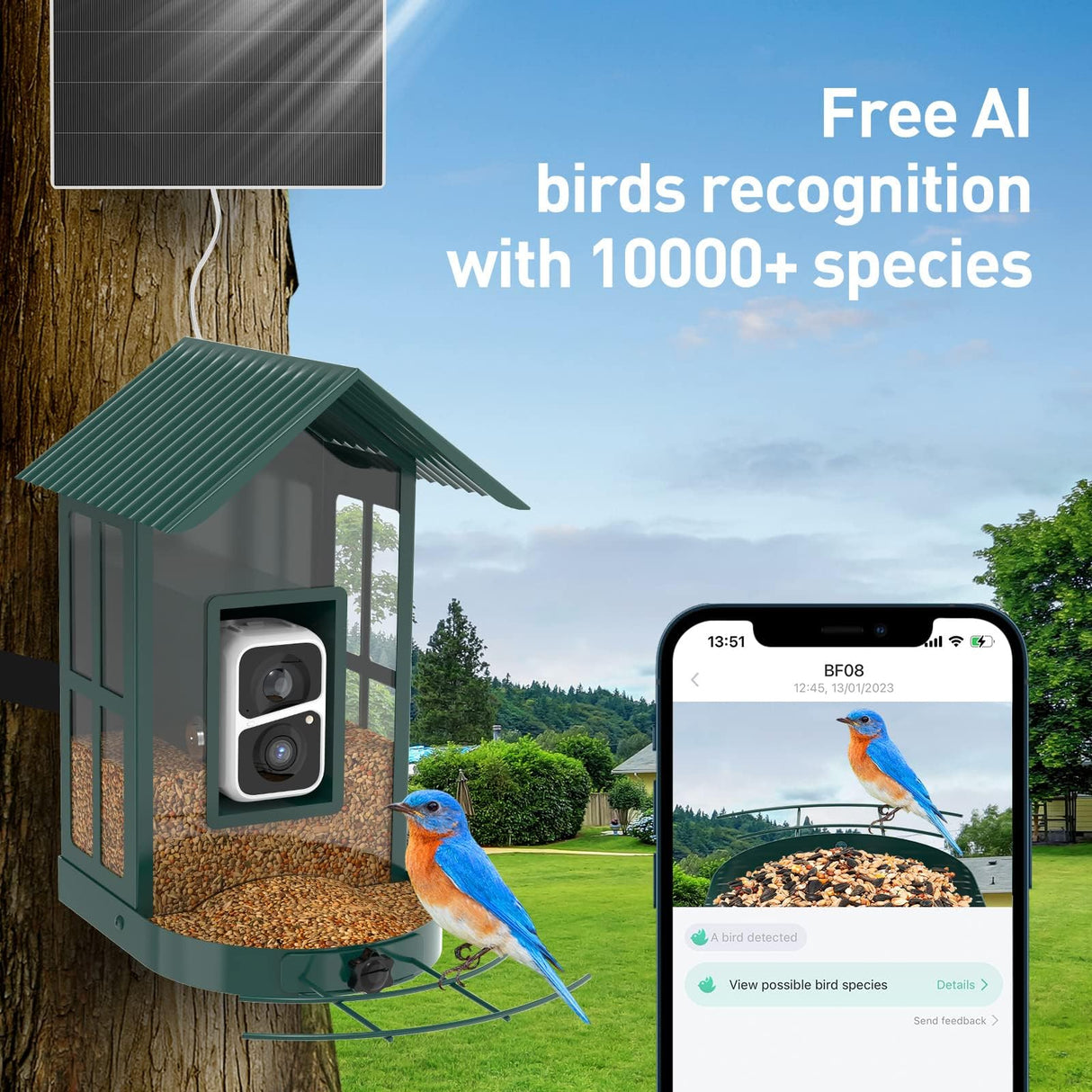 SOLIOM® BF08- Metal Bird Feeder Camera with Smart AI Identify Bird Species, Wild Bird Watching Cam, Live View, Instant Notifications with 5W Solar SOLIOM