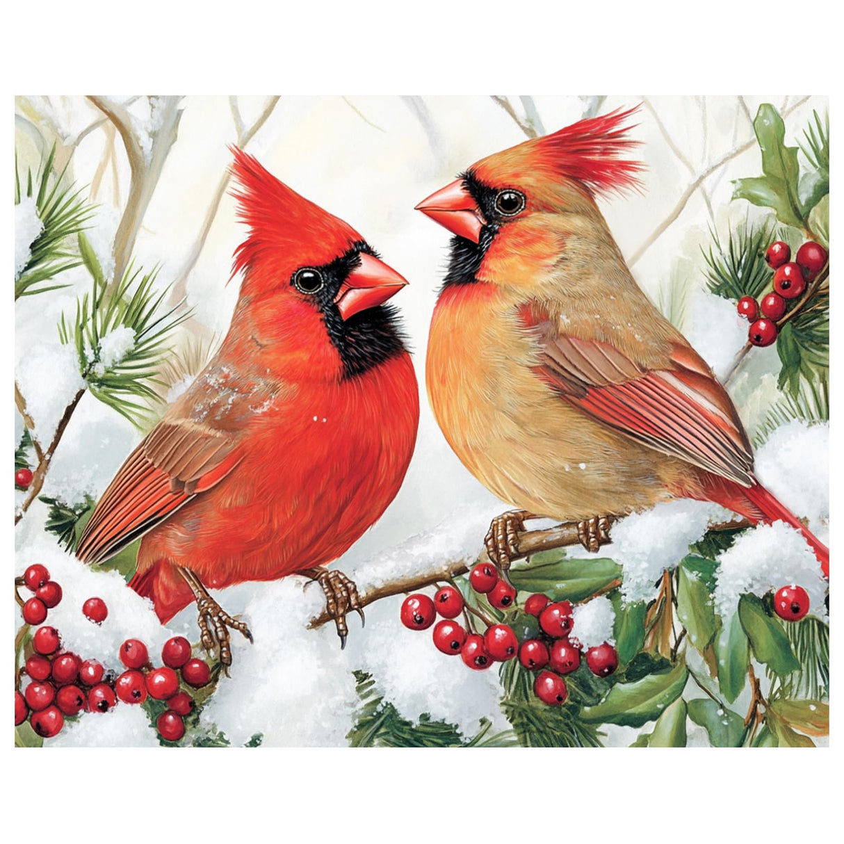 Christmas Paint by Numbers Kit for Adults Cardinal Paint by Number for Adults Beginner, Cardinal Paint by Numbers Art Supplies for Gift Home Wall Decor 16‘’W x 20''L hkejoi