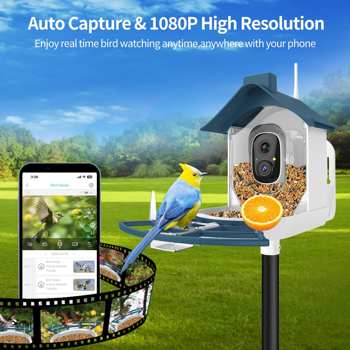 Bird Feeder with Camera, Smart Bird Feeder Camera with 1080P HD AI Identify Instant Notifications, Bird Watching Camera with Solar Panel in Backyard, Ideal Gifts for Family and Bird Lovers,Navy Blue Vatjubi