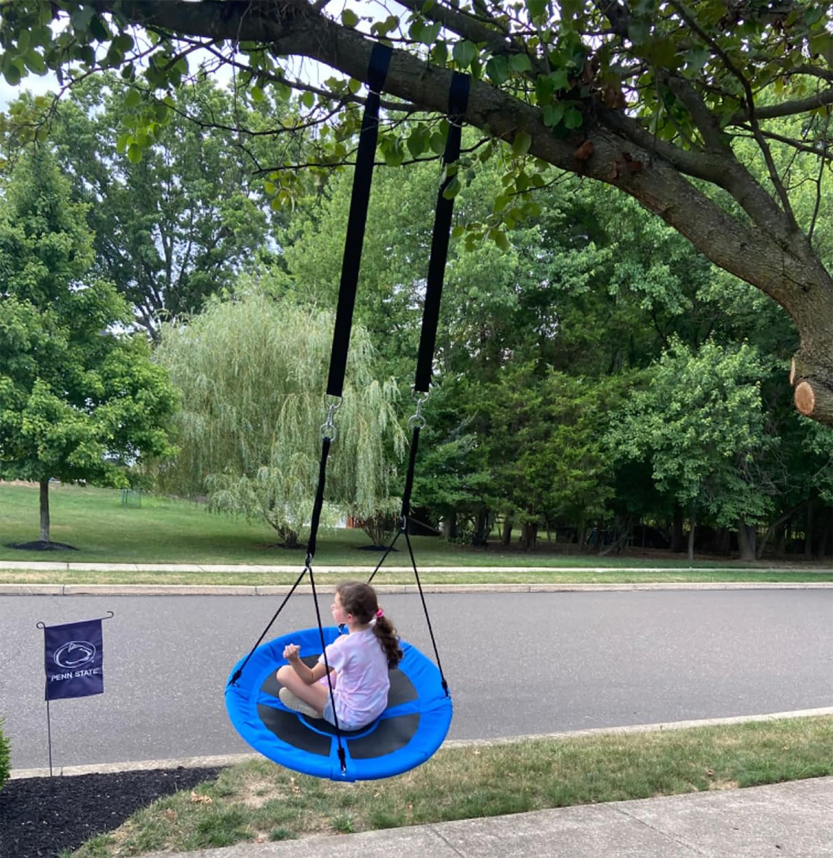 Tree Swing Hanging Straps Kit 4Ft, Robust, Reliable, and Flexible - Supports up to 2000 lbs - Effortless Setup with Sturdy Carabiners - Ideal for Hammocks, Swings, and Beyond LIVEKOOQ