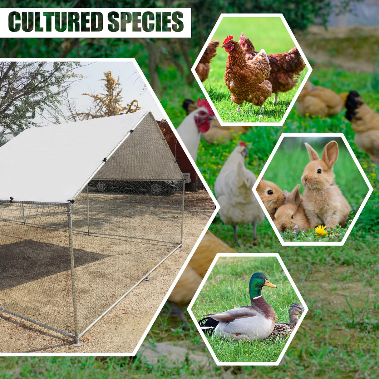 NUGRIART Large Metal Chicken Coop Walk-in Poultry Cage Hen Duck Run House with Waterproof & Anti-UV Cover Galvanized Rabbits Habitat Spire Shaped Cage for Outdoor Yard Farm Use NUGRIART