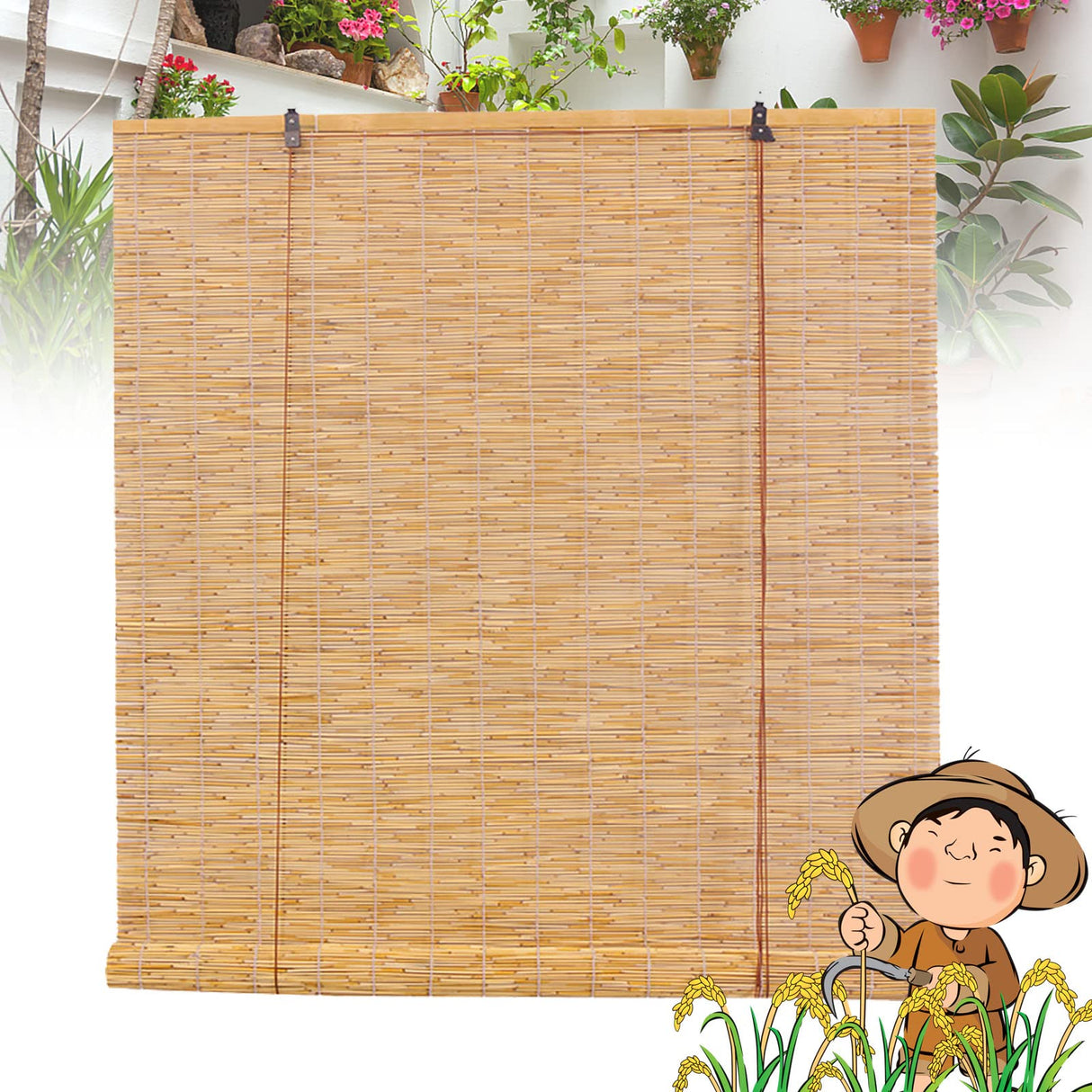 Reed Shades Bamboo Roll Up Shades Bamboo Roll Up Blinds Bamboo Roller Blinds, Retro Bamboo Shades Outdoor Bamboo Shades Blinds with Lift for Indoor/Outdoor Privacy 25×72in(W×H) White OCAZI