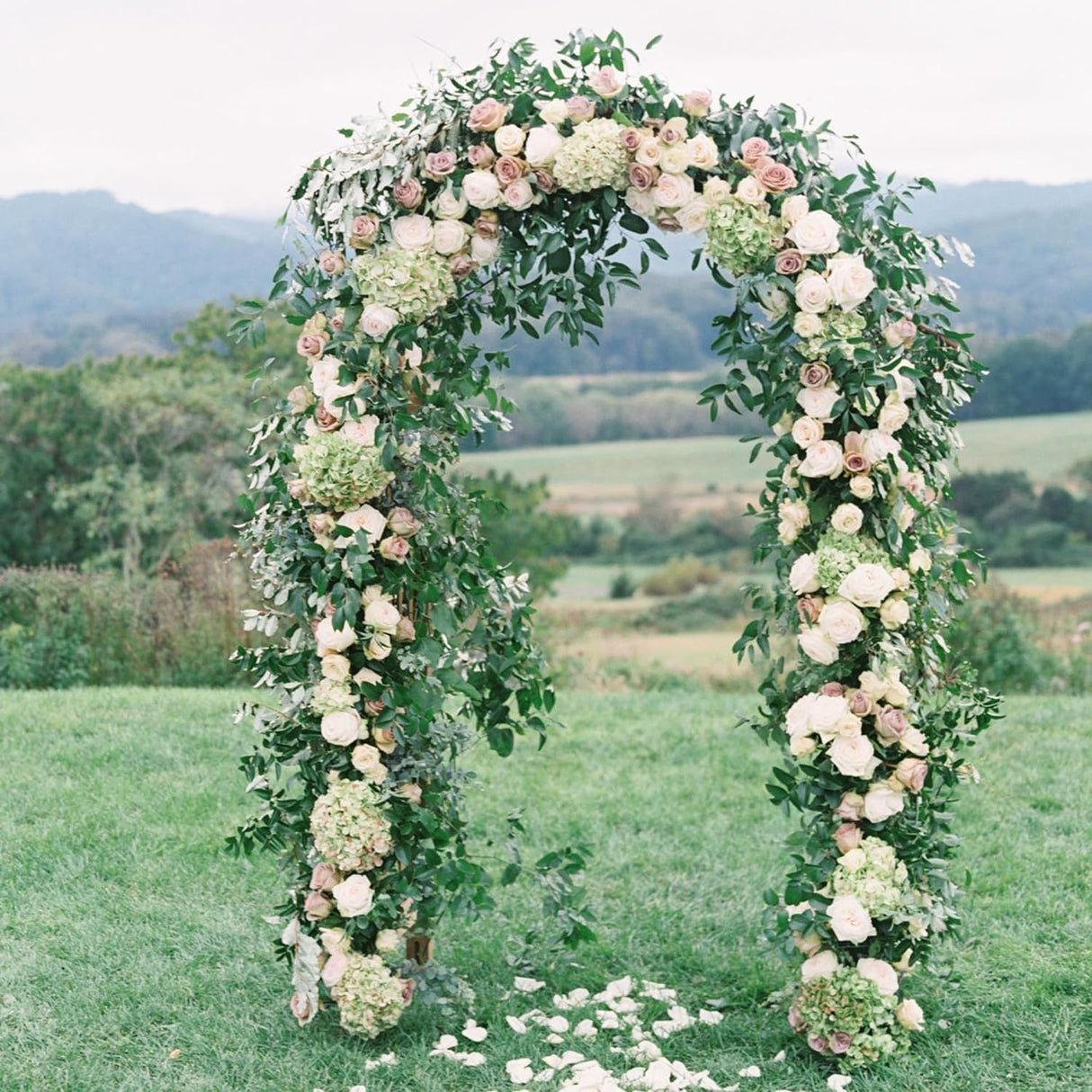 Garden Arch Trellis Metal Garden Arbor for Various Climbing Plant, Wedding Arches for Ceremony Decoration Outdoor Lawn Backyard, 7'8" H x 4'5" W, Dark Green UmiPatio