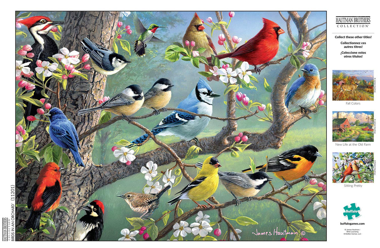 Buffalo Games - Hautman Brothers - Birds in an Orchard - 1000 Piece Jigsaw Puzzle Buffalo Games