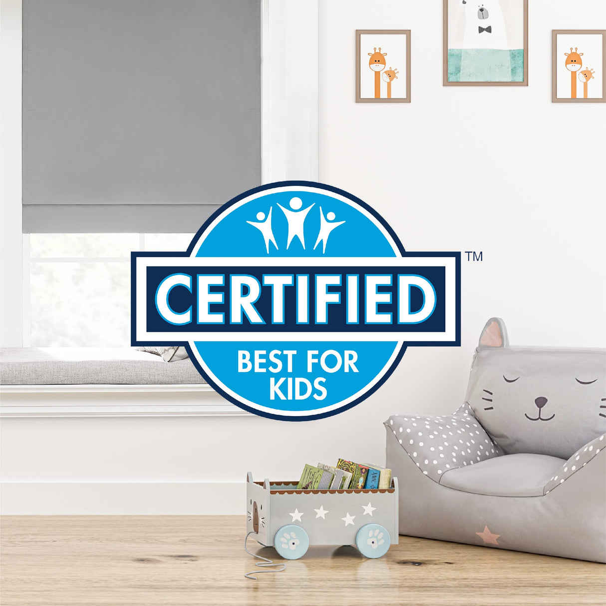 ECLIPSE Drew Noise Reducing Blackout Cordless Lined Window Roman Shade for Living Room, 31 in x 64 in, White Eclipse