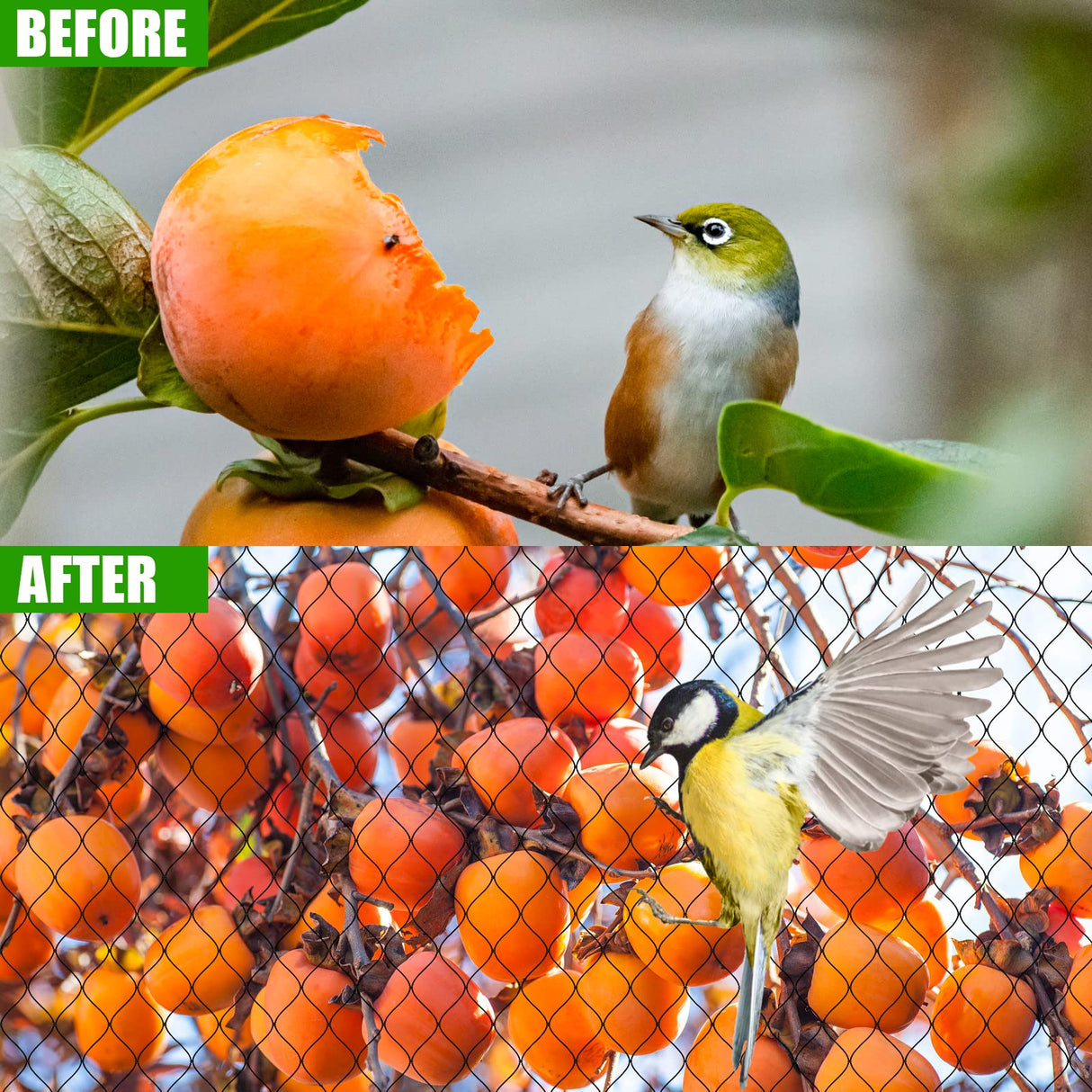 Bird Netting for Chicken Coop - 50x50ft Poultry Netting Over Chicken Run & Chicken Pen, Heavy Duty 2.4” Mesh Garden Net for Blueberry Bushes, Fruit Trees and Vegetable Against Birds, Deer, Squirrels RYHBETH