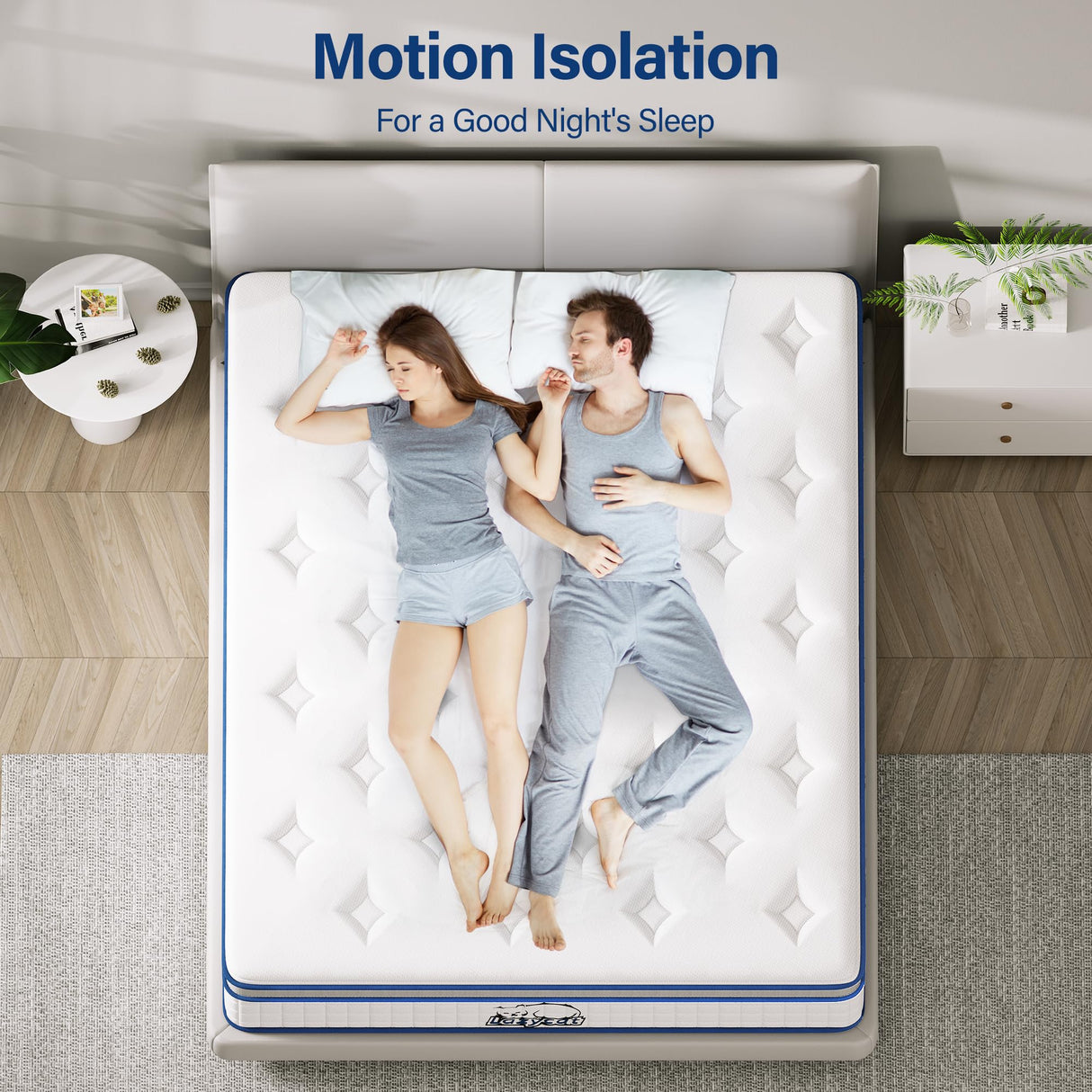 Twin Mattress, 12 Inch Twin Size Hybrid Mattress in a Box with Memory Foam and Individual Pocket Springs, Extra Lumbar & Shoulder Support, Pain Relief Fiberglass-Free LAZYCAT