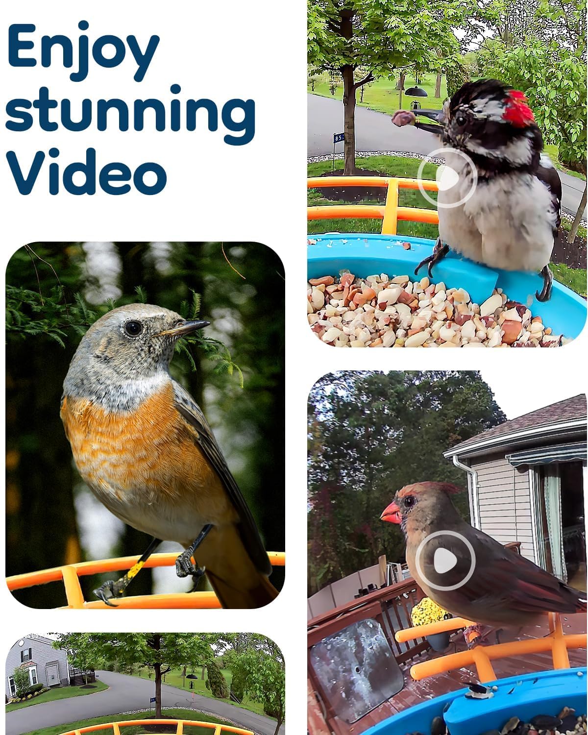 LongPlus® Smart Bird Feeder with Camera, Bird Feeders Camera Wireless Outdoor with Solar Powered,AI Identify,Smart Bird Camera Auto Capture Videos,Instant Notification,Ideal Gift for Mom Bird Lovers LongPlus