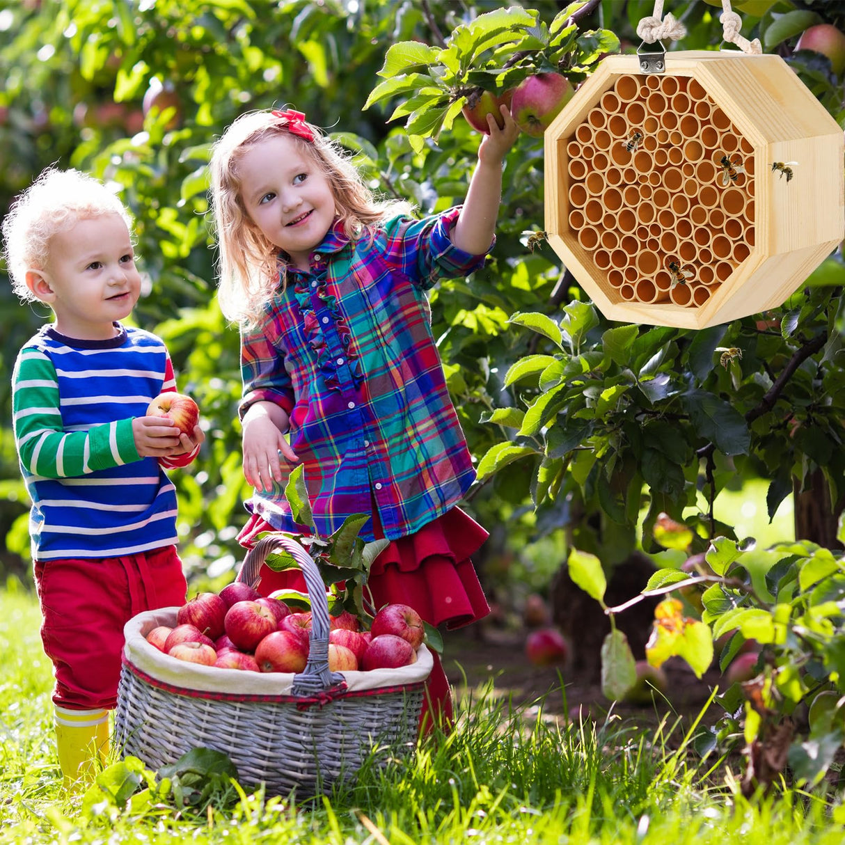 Mason Bee House - Handcrafted Natural Wooden Bee Hotel with Waterproof Wax Coating - Attracts Peaceful Pollinators, Enhances Garden Productivity NASIDE