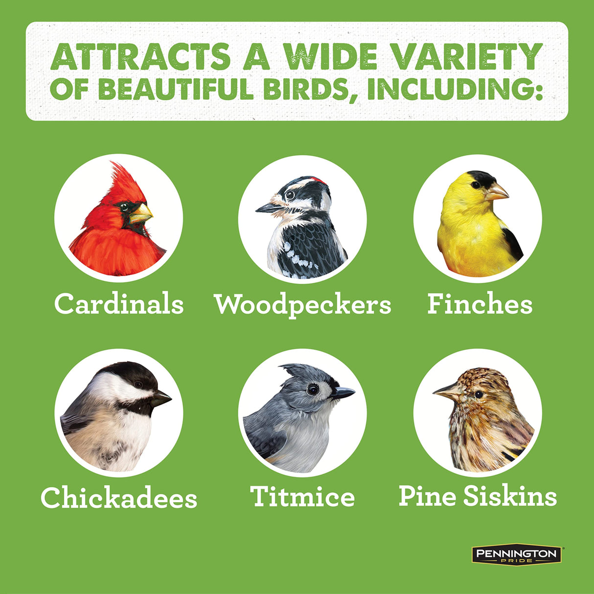 Pennington Cedar Chalet Bird Feeder 2 Pounds and 2 Suet Cakes Pennington