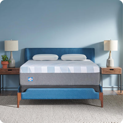 Sealy Dreamlife 14” Hybrid Mattress-in-a-Box, Queen, SealyComfort Gel Memory Foam, SealyResponsive Encased Coils, Machine Washable Cover