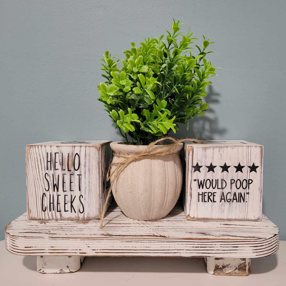 Liswit Farmhouse Funny Bathroom Decor Signs, 3 Wooden Blocks with Plant & Tray, Rustic Decoration for Bathroom Countertop Liswit