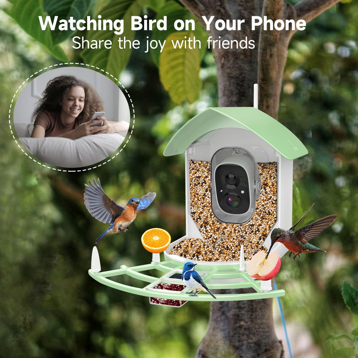 Fazoxo Bird Feeder with Camera, Smart AI Bird Breed Recognition, Birds Motion Detection with Real-Time Notice, Auto Capture Bird Watching WiFi Fazoxo