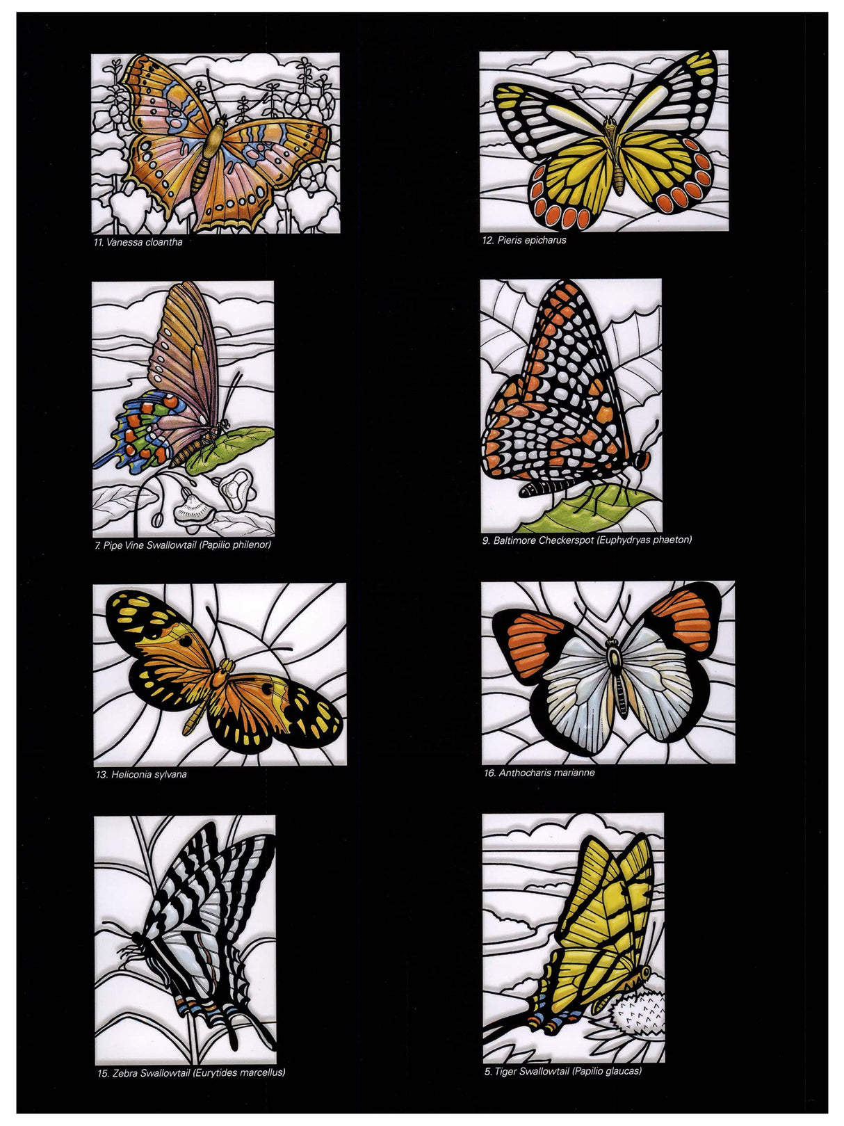 Beautiful Butterflies Stained Glass Coloring Book Dover Publications