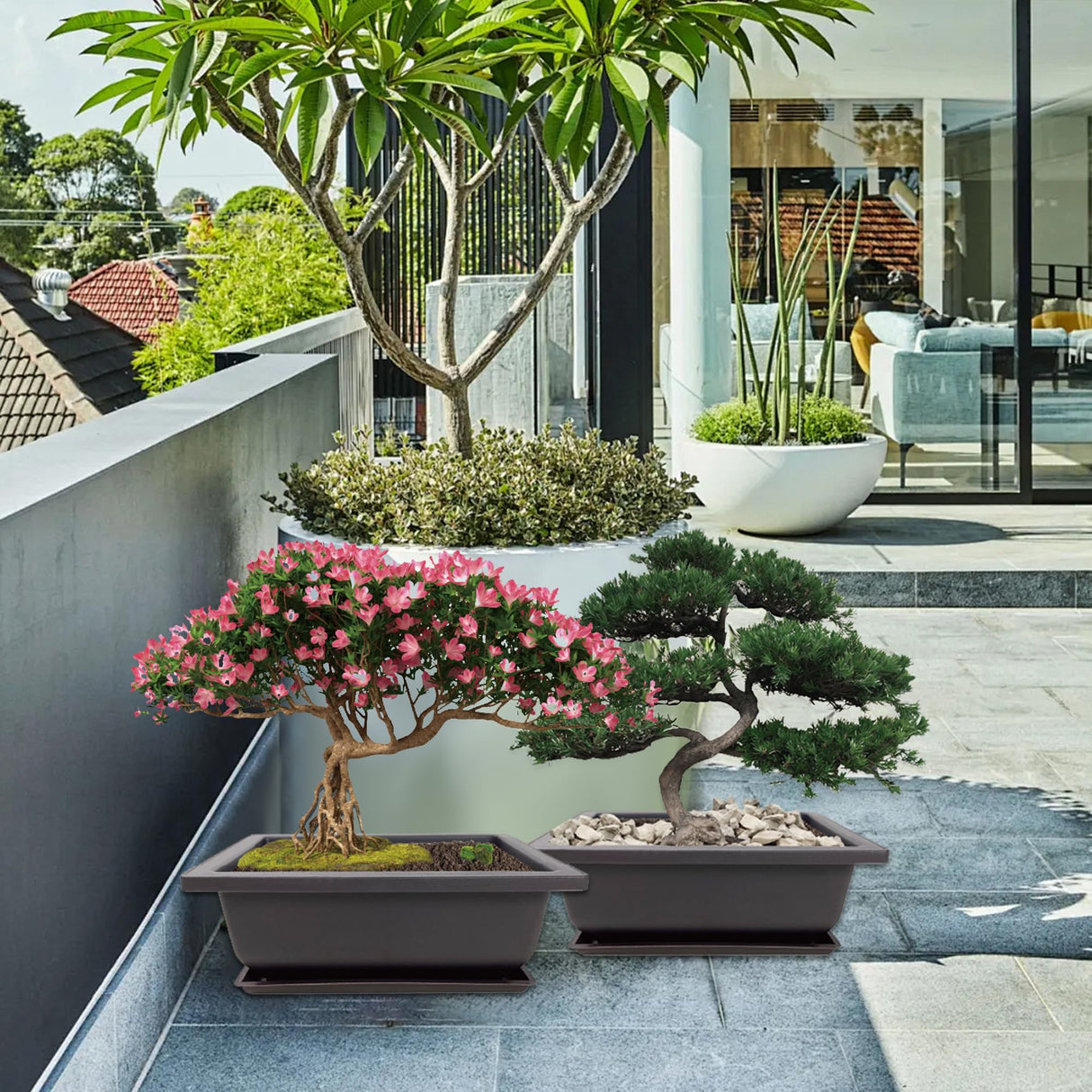 Sproutix Bonsai Starter Kit, 5 Seeds Growing into Acacia, Wisteria, Sakura, Red Maple and Black Pine, Including Complete Gardening Tools with A Gift Box, Christmas Gifts for Men Women Beginners SPROUTIX