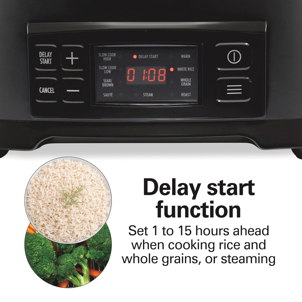 Hamilton Beach 6 Quart 9-in-1 Programmable Slow Cooker with Sear, Browning, Rice, Steam, Sauté, Roast Delay Start & Keep Warm Functions, Nonstick PFAS-Free Dishwasher Safe Crock, Black (33604) Hamilton Beach