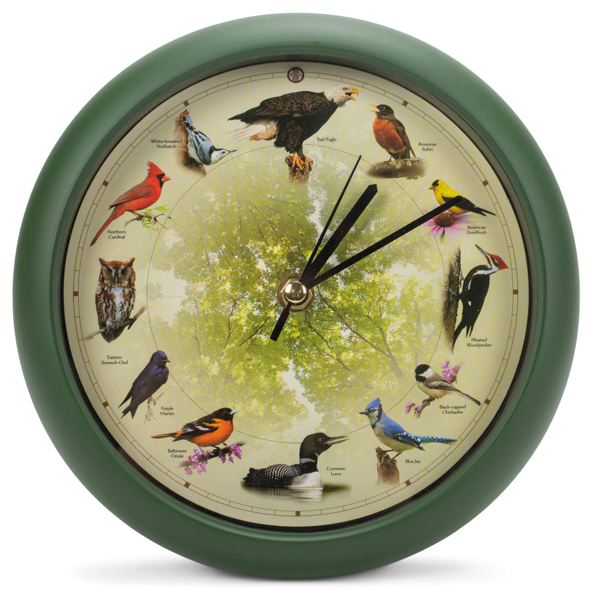 Mark Feldstein Limited Edition 20th Anniversary Singing Bird Wall/Desk Clock, 8 Inch Mark Feldstein & Associates