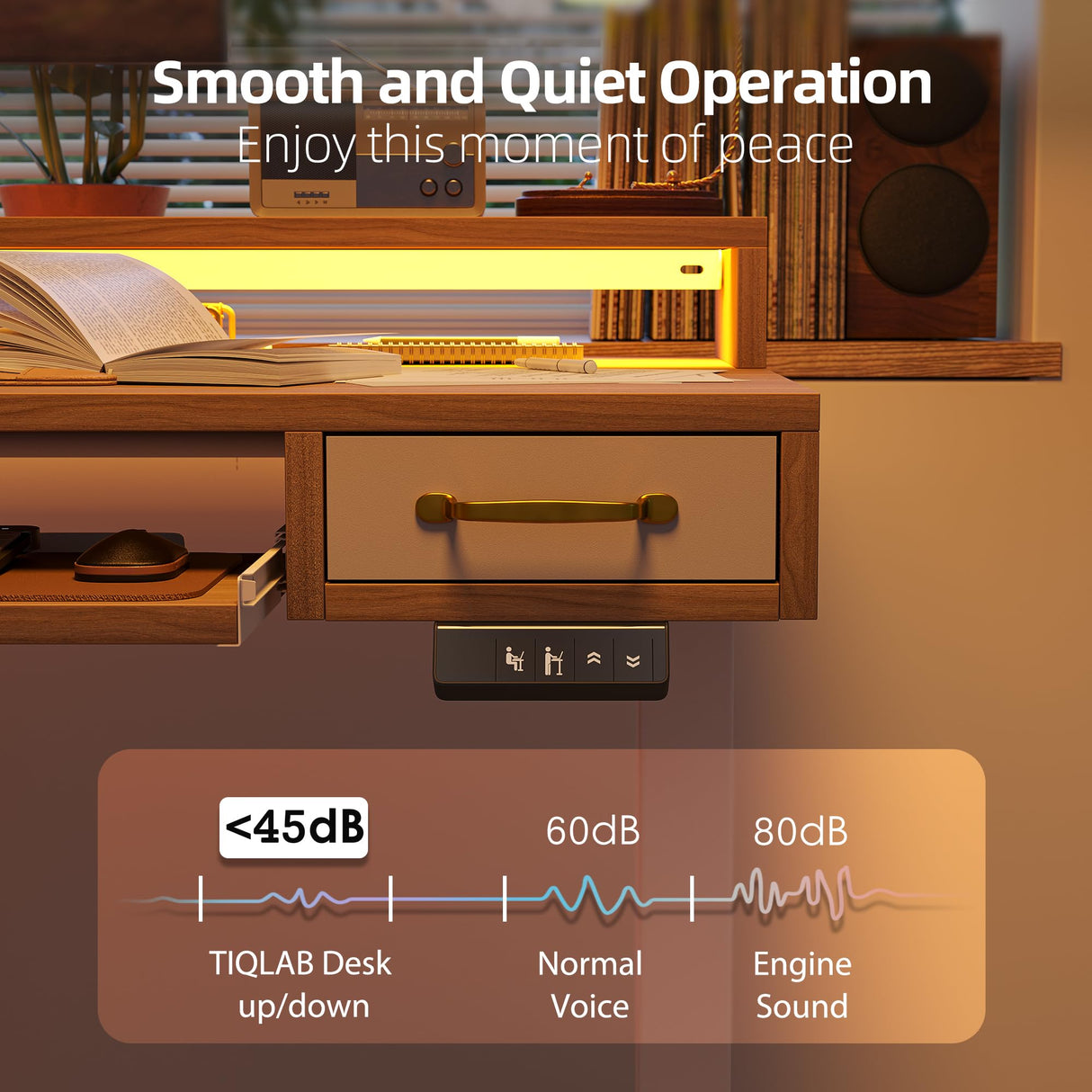 TIQLAB 55 x 28 Inch Height Adjustable Electric Standing Desk with Double Drawers&Keyboard Tray, Stand Up Desk with LED Strips&Monitor Stand, Light Walnut TIQLAB