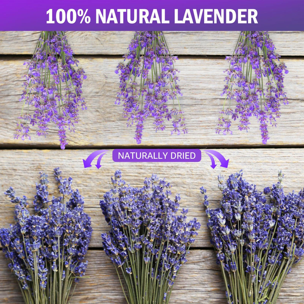 Timoo Dried Lavender Bundles 100 Natural Dried Lavender Flowers for Home Decoration, Photo Props, Home Fragrance, 2 Bundles Pack Timoo