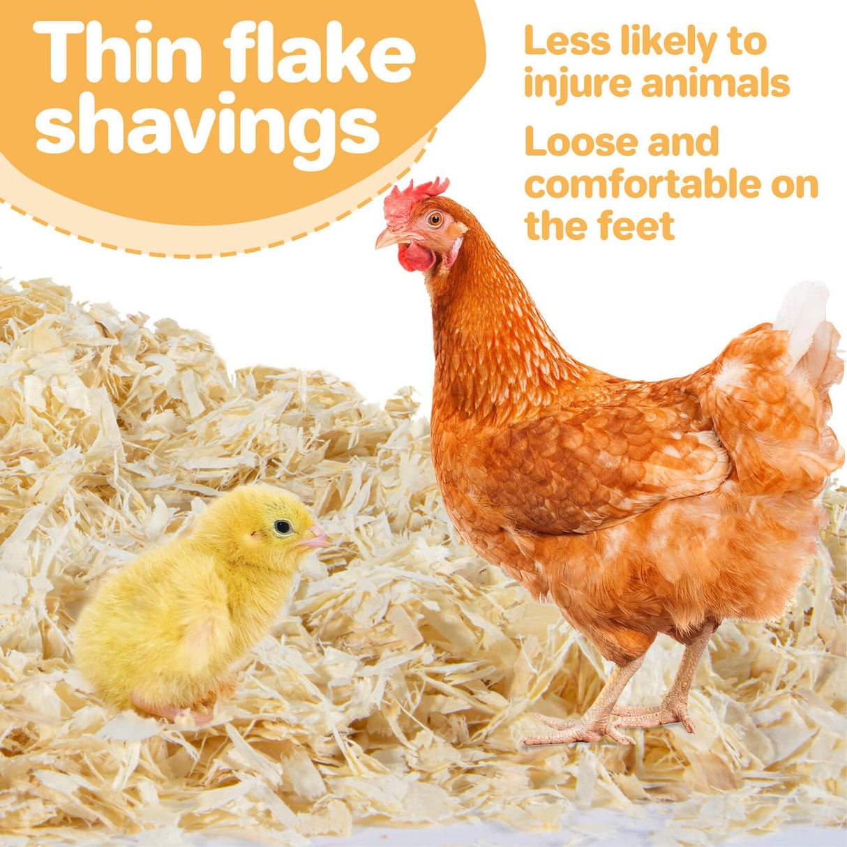 31OZ Sukh Chicken coop Bedding - Aspen shavings Animal Bedding as Chicken Supplies for Chicken House Bedding winterizing Nesting for Small pet Guinea Pig Rabbit Chinchilla Bird Gerbil Odor Control Sukh