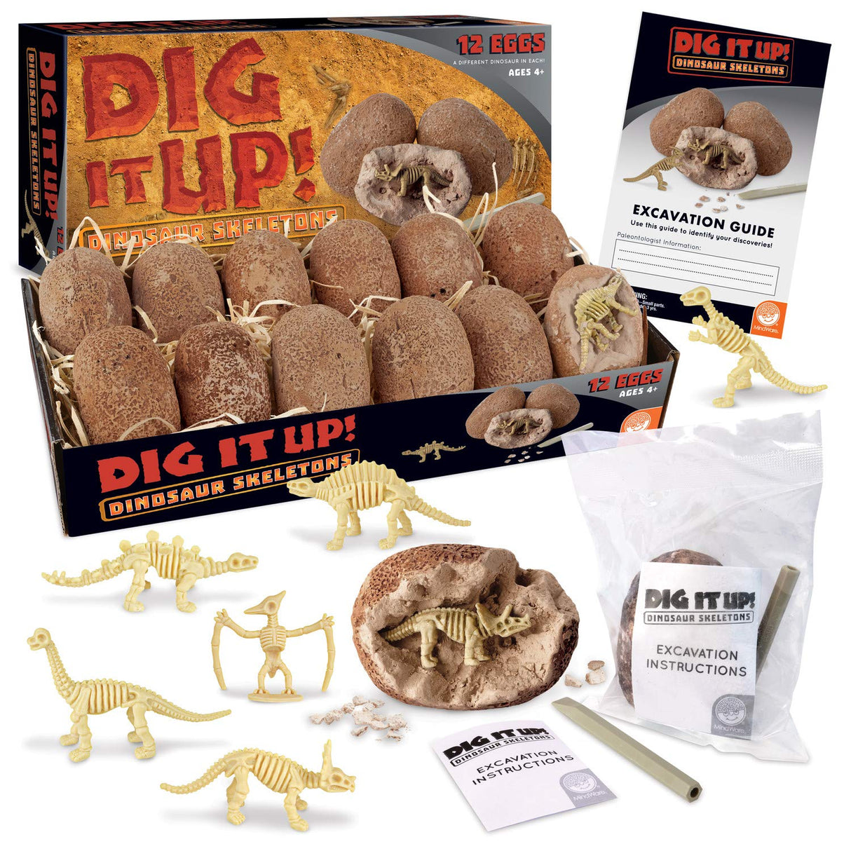 MindWare Dig It Up! Dinosaur Skeleton Eggs Excavation kit - Comes with 12 Clay Eggs, 12 Chisel Tools and 12 Instruction Sheets MindWare