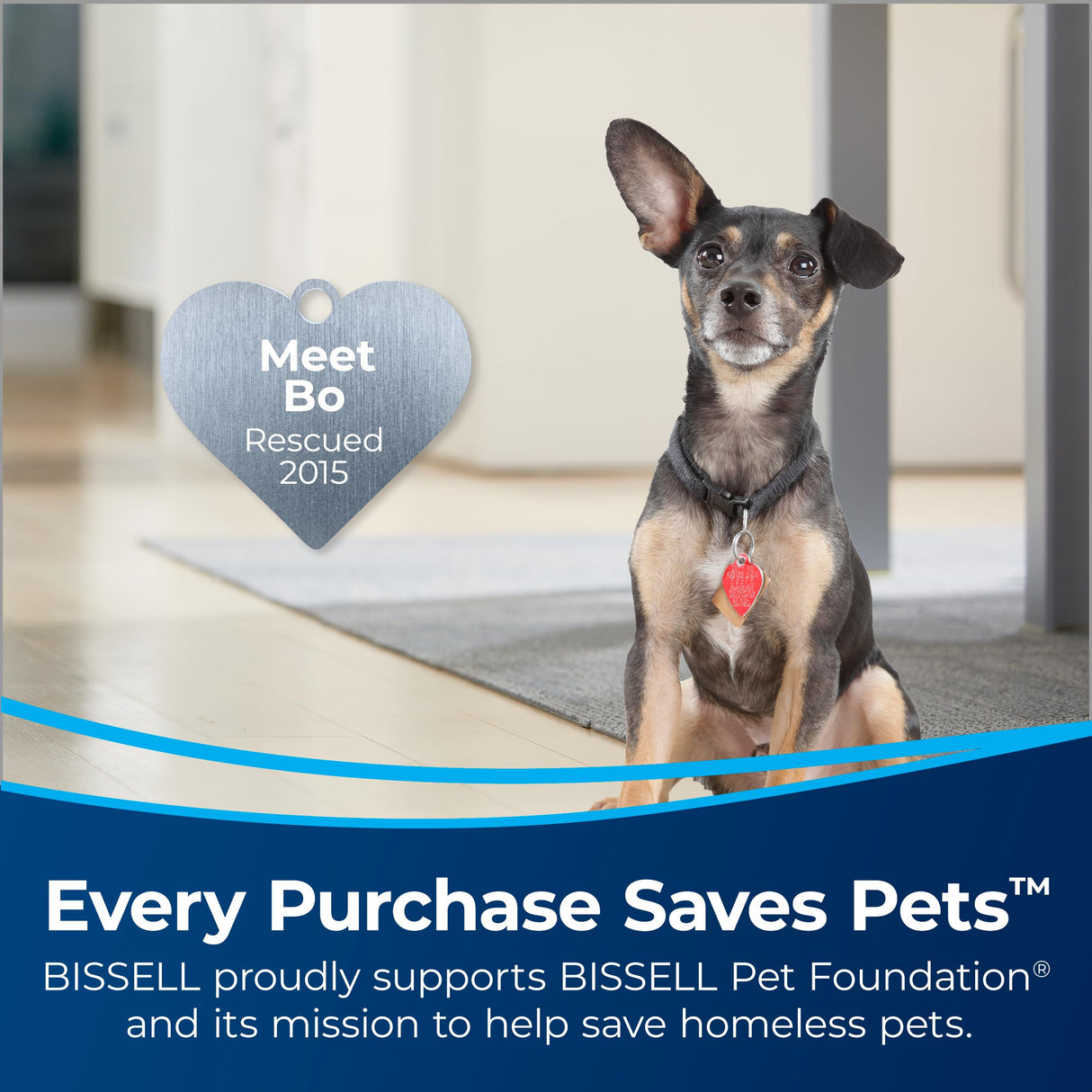 Bissell CleanView Swivel Rewind Pet Reach Vacuum Cleaner, with Quick Release Wand, Swivel Steering and Automatic Cord Rewind, 3197A (Color May Vary) Bissell