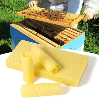 60-Pack Beeswax Sheets, 16-1/3 inch x 7-2/3 inch,Beehive Wax Foundation, Beeswax Foundation Sheet, Beeswax for Candle Making Beekeeping