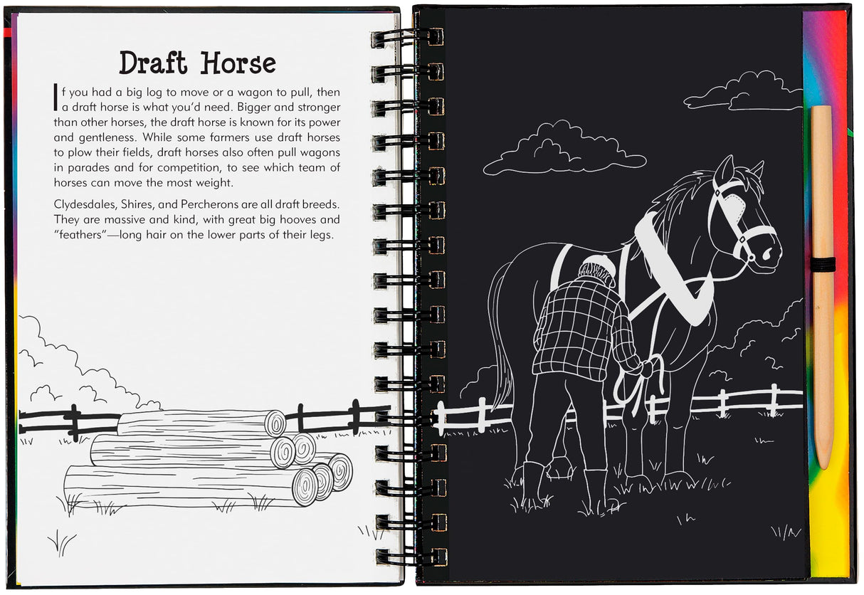 Scratch & Sketch Horses (Trace-Along) PETER PAUPER PRESS